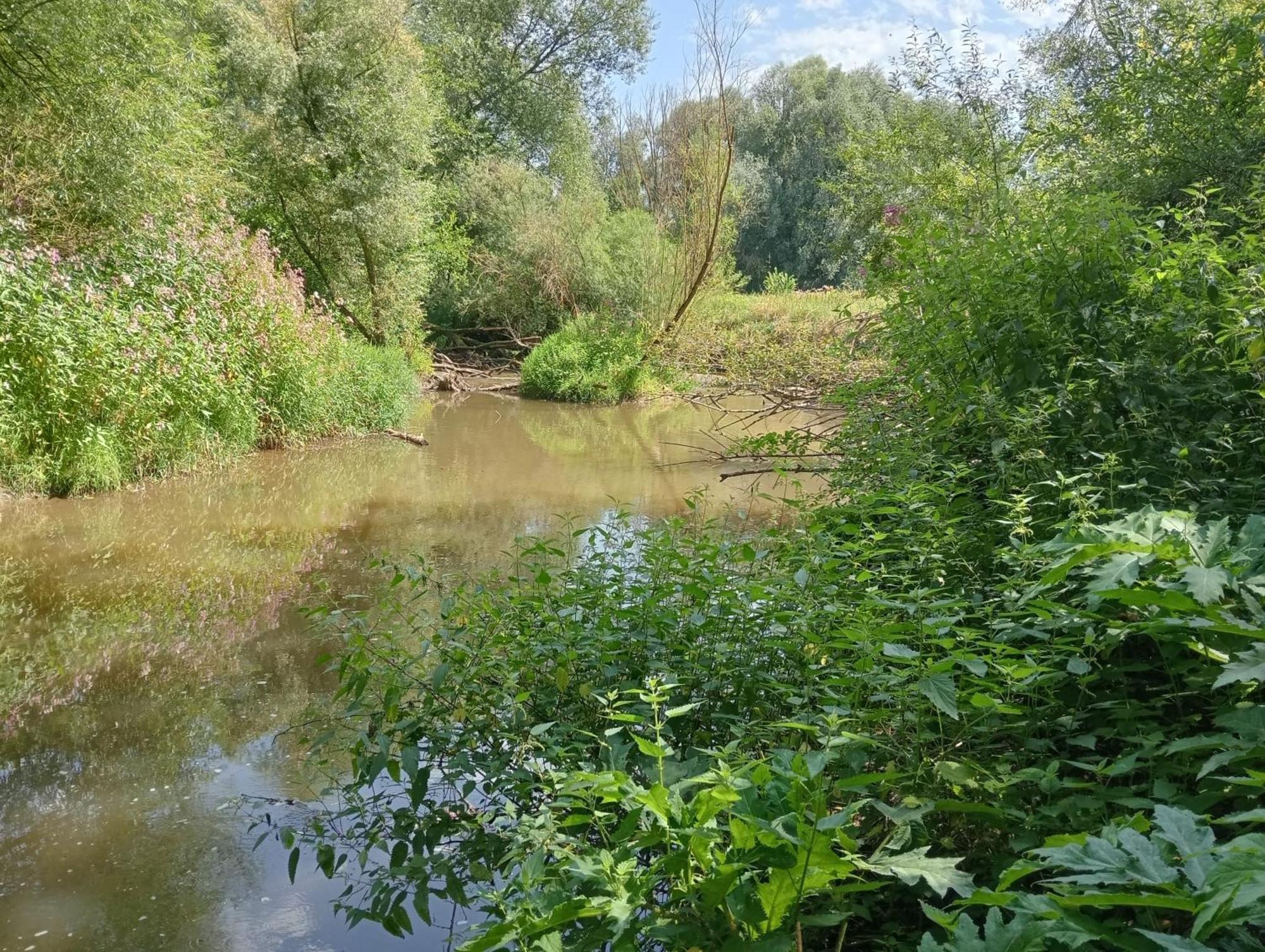 Bnb Het Geluk Van Limburg Mechelen Exterior foto