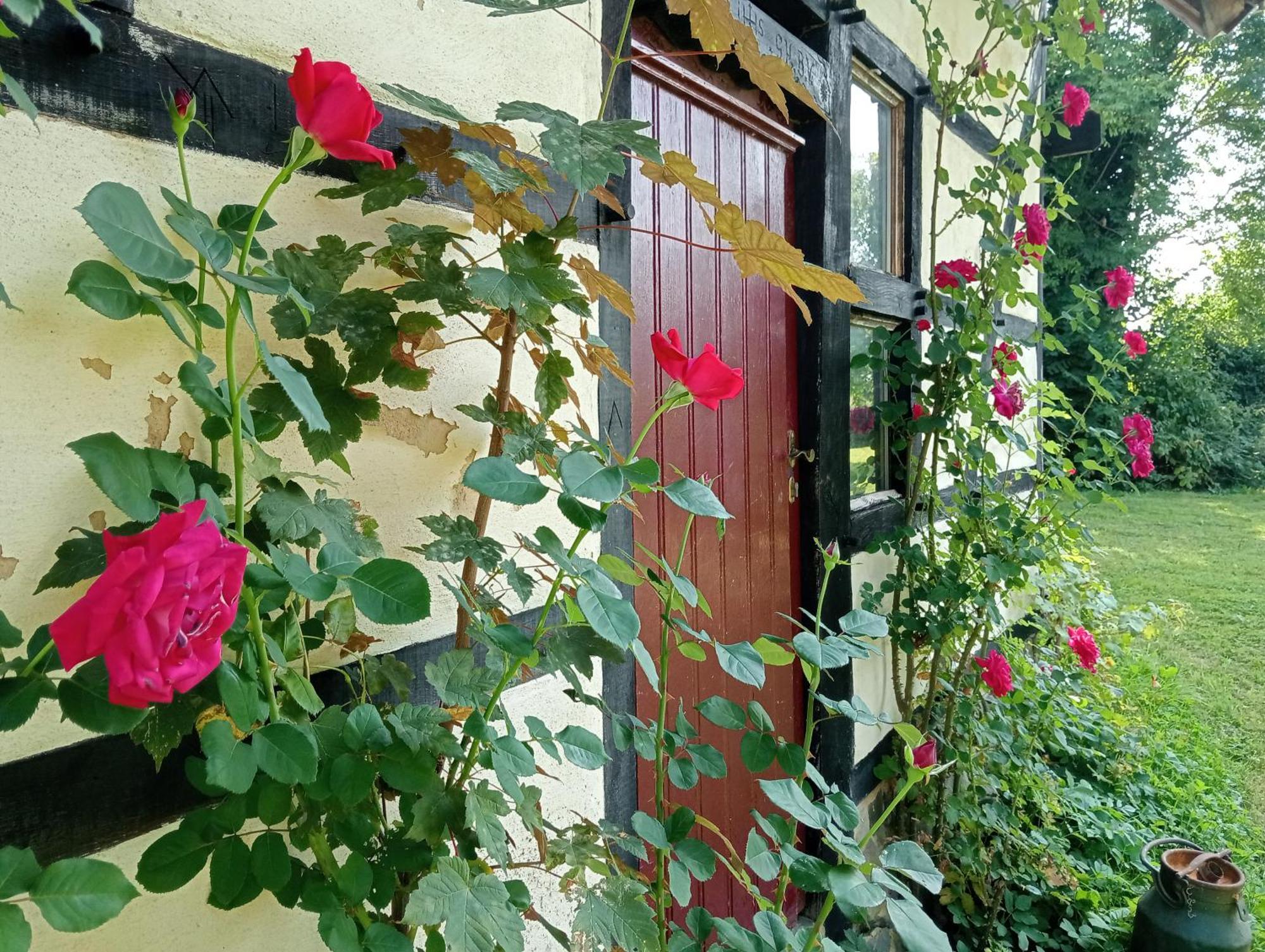 Bnb Het Geluk Van Limburg Mechelen Exterior foto